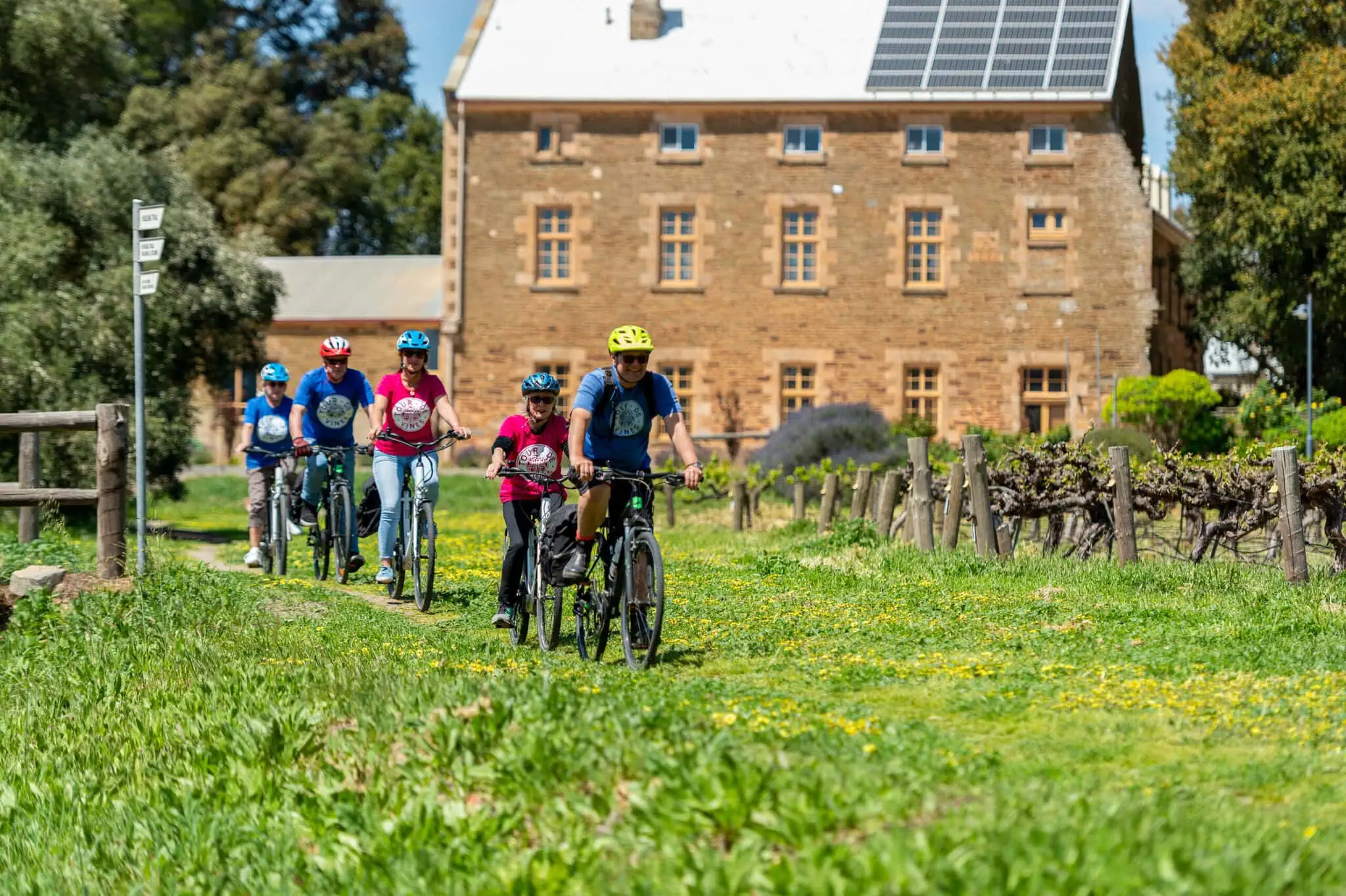 Cycling the Riesling Trail in the Clare Valley South Australia.