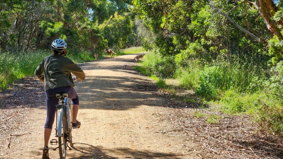 cycling & wildlife spotting on the bass coast trail