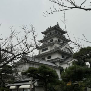 img 7924