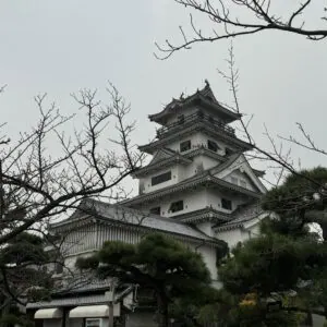 img 7924