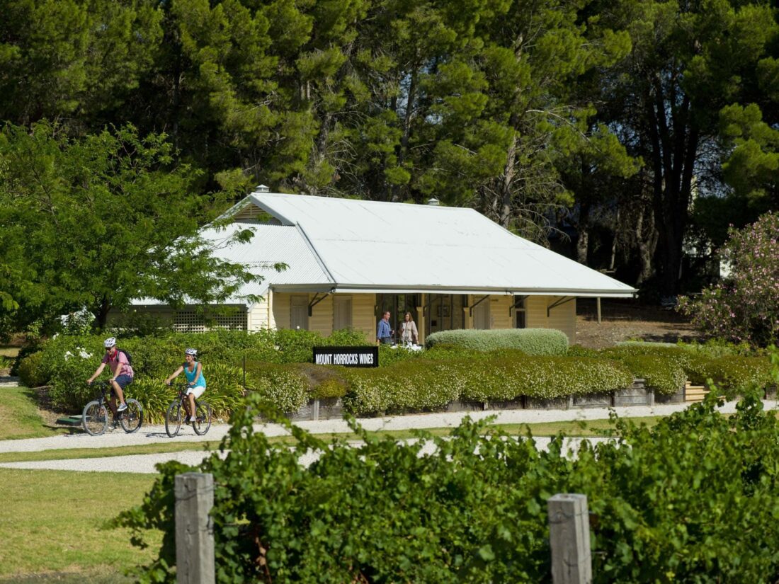 Riding on the Riesling Trail