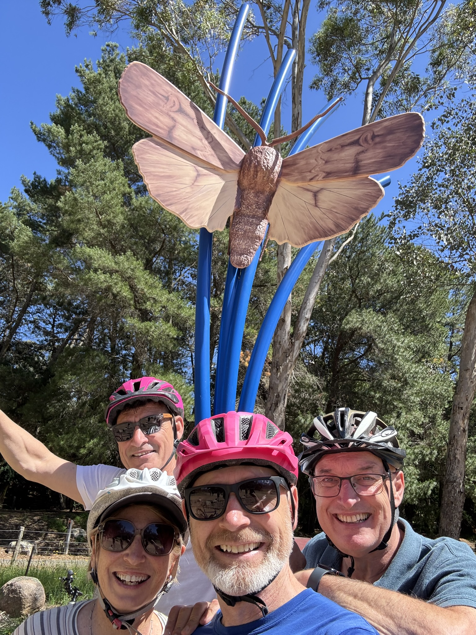 Bogong moth sculpture on the Murray to Mountains Rail Trail Eurobin