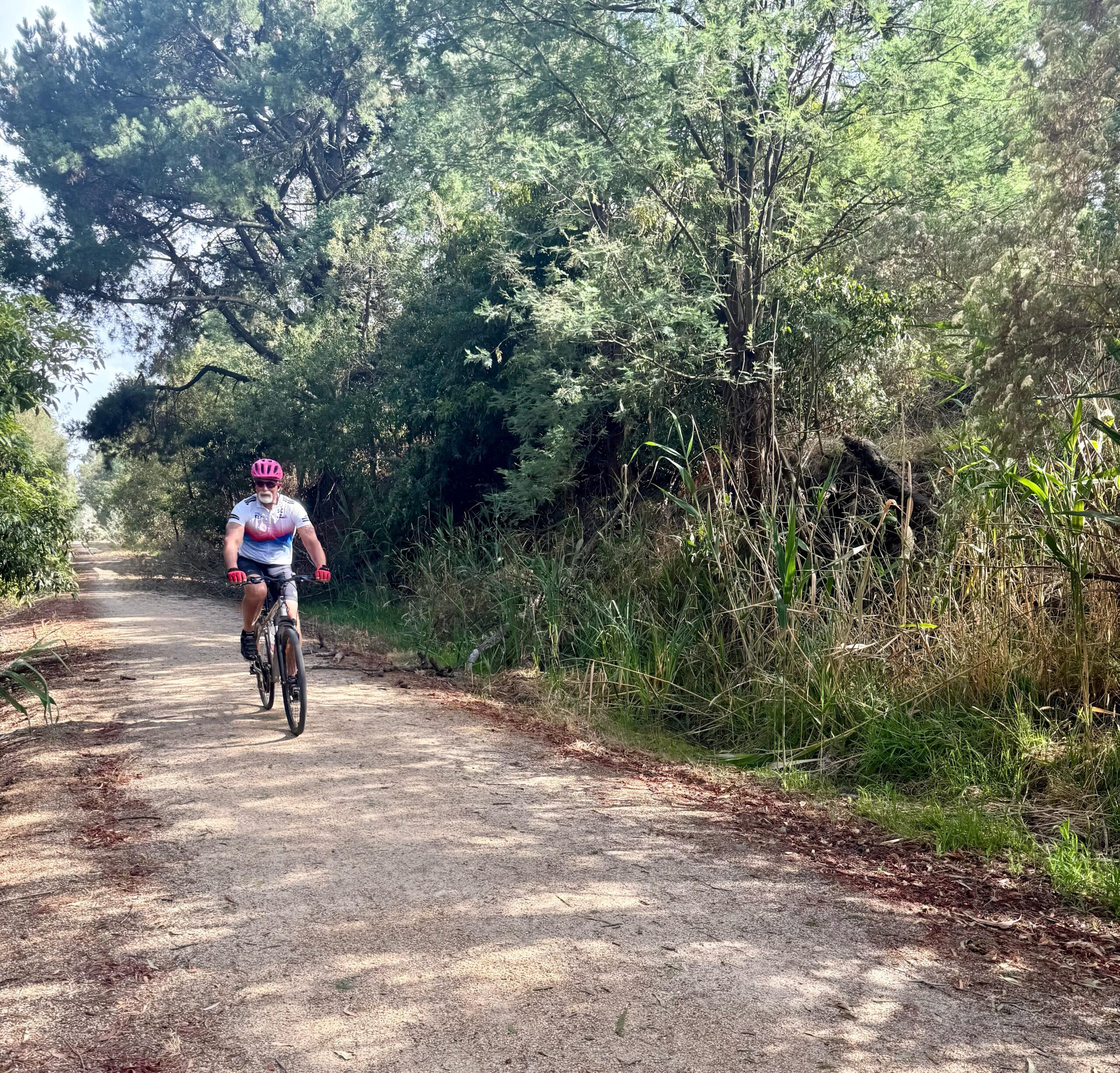 Cycling the Great Southern Rail Trail in Victoria, Australia