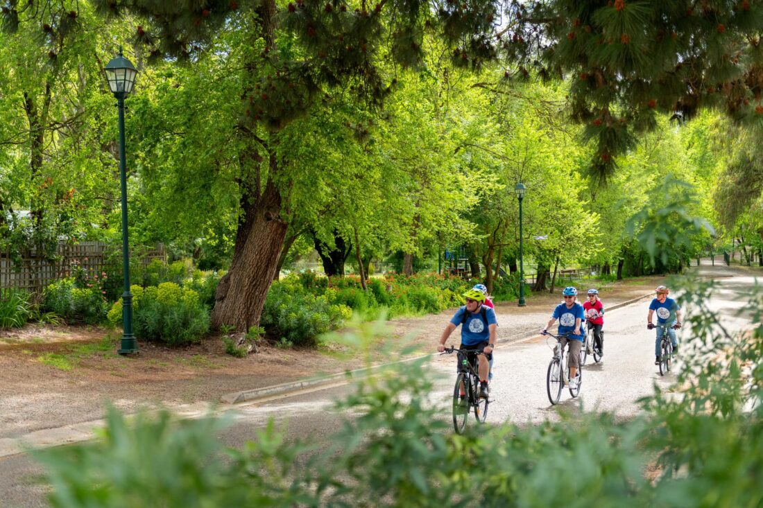 Tour De Vines