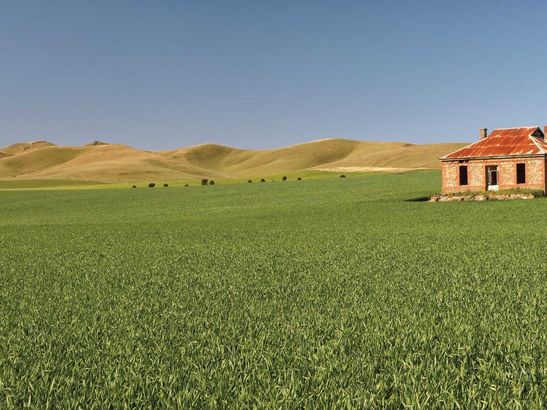Burra Homestead