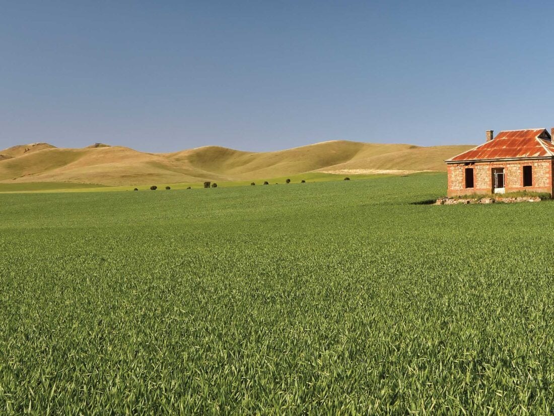 Burra Homestead