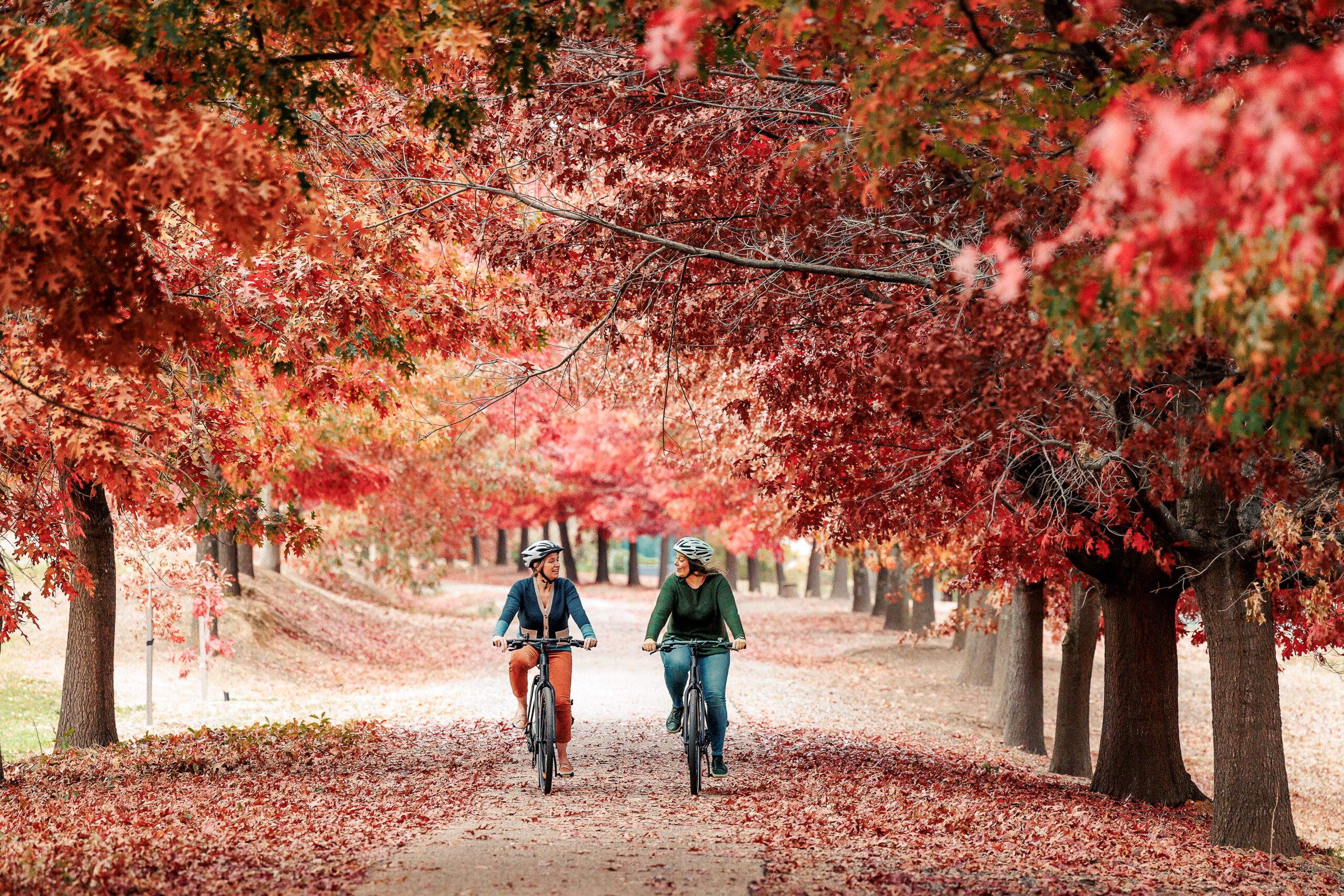 M2M Rail Trail Beechworth to Myrtleford