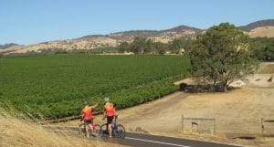 cycling in barossa south australia