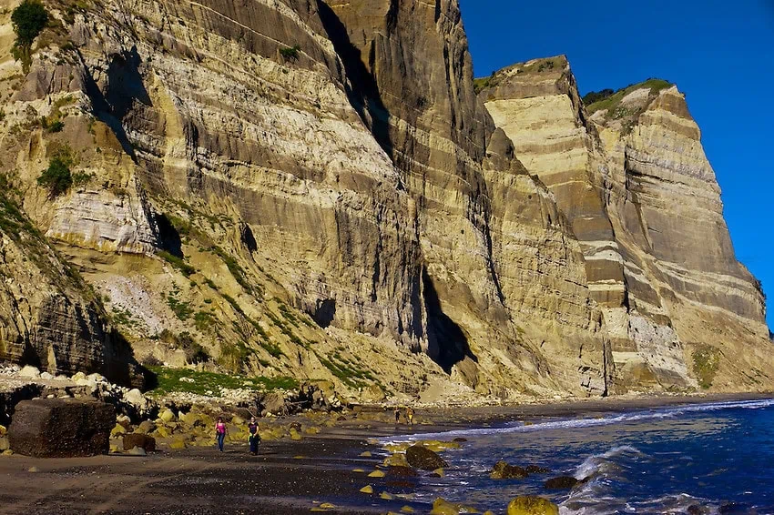 Cape Kidnappers Hawkes Bay Trails