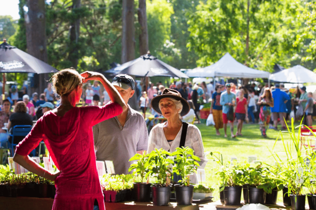 Hawkes Bay Farmers Market