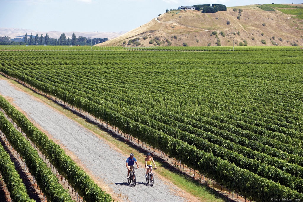 Bike wine tour Hawkes Bay NZ