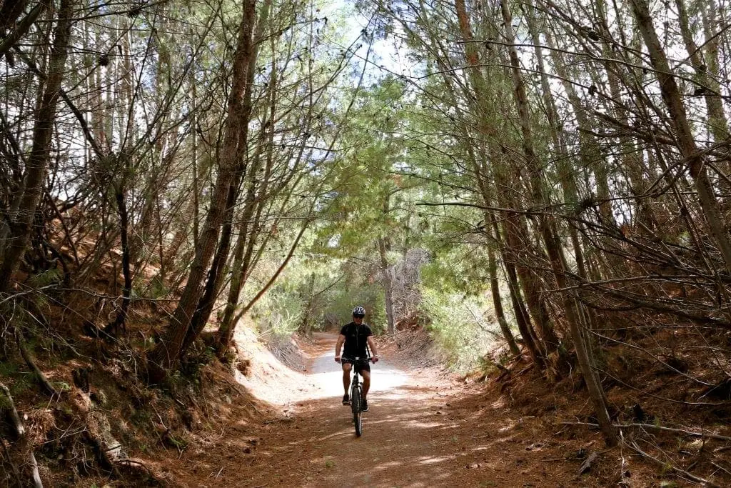 Cycling the Riesling Trail in South Australia