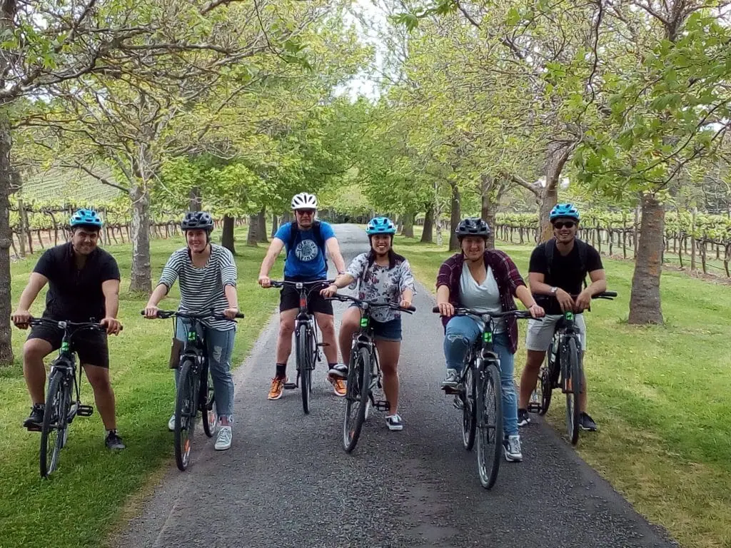 Cycling tour McLaren Vale South Australia