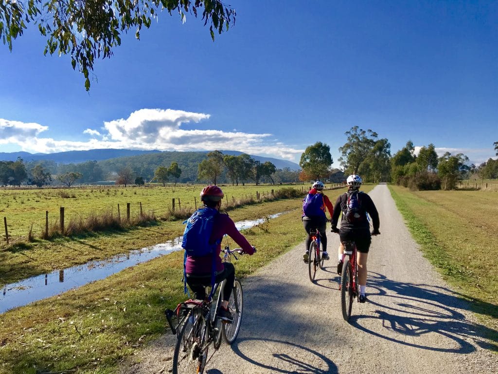 Yarra Valley bike tour