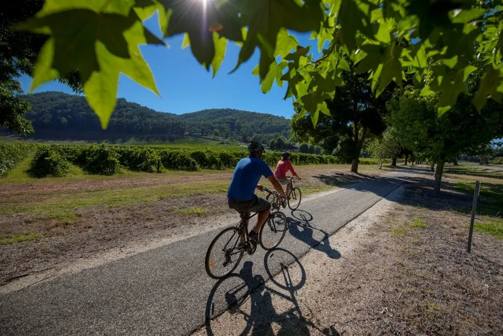 Murray to Mountains Rail Trail 5