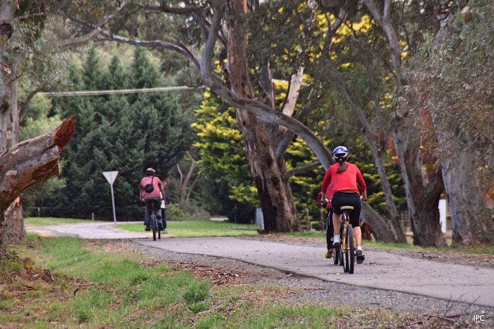Adelaide bike tour on the Amy Gillet trail