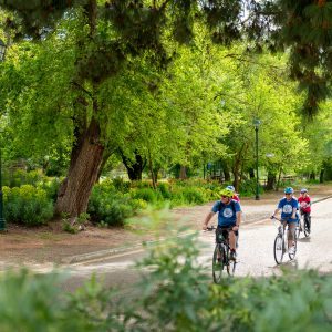 Cycling Tour in South Australia