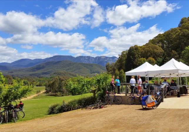 Ringer Reef winery on the Murray to Mountains Rail Trail