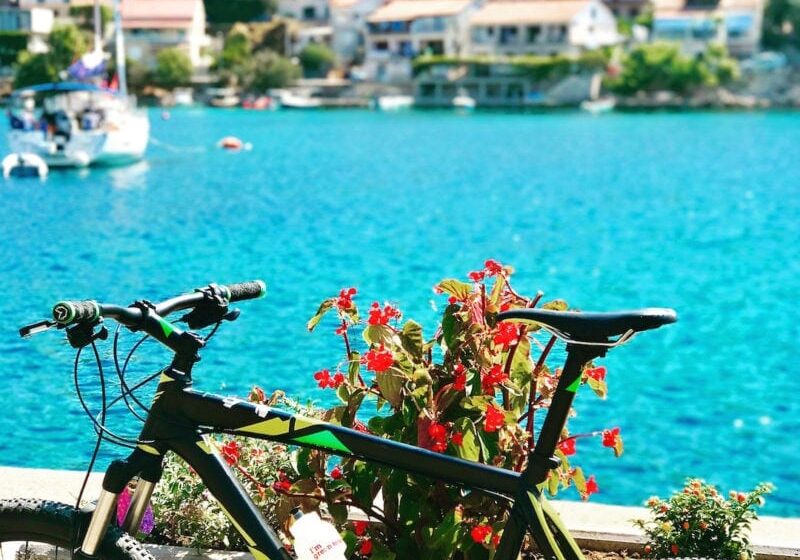 Tour De Vines Croatia 4032