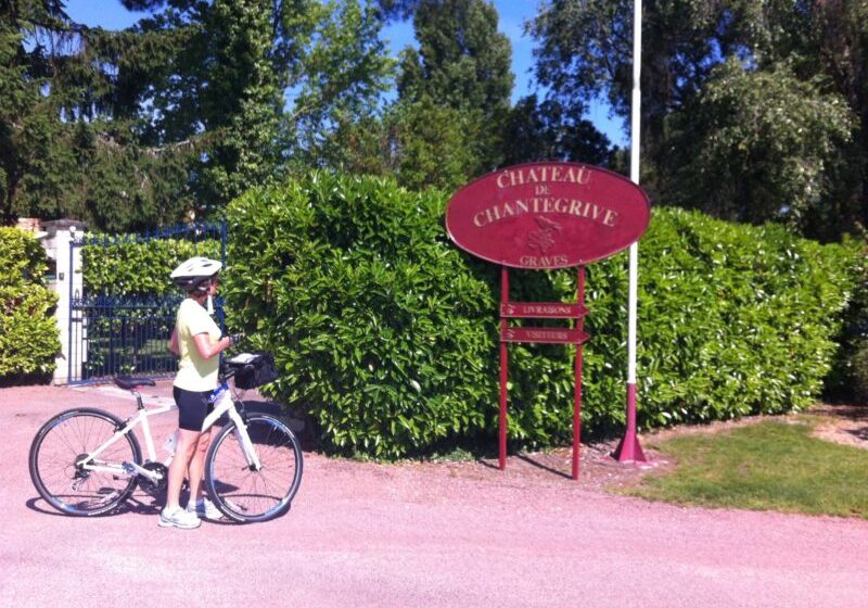 Tour De Vines France Bordeaux 3276