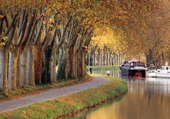 Ramonville Saint Agne, France --- Canal du Midi in Ramonville Saint Agne --- Image by © Alain Felix/Hemis/Corbis