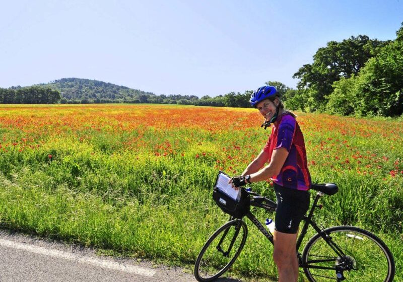 Provence Cycling tour France