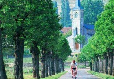 Tour De Vines France Burgundy9