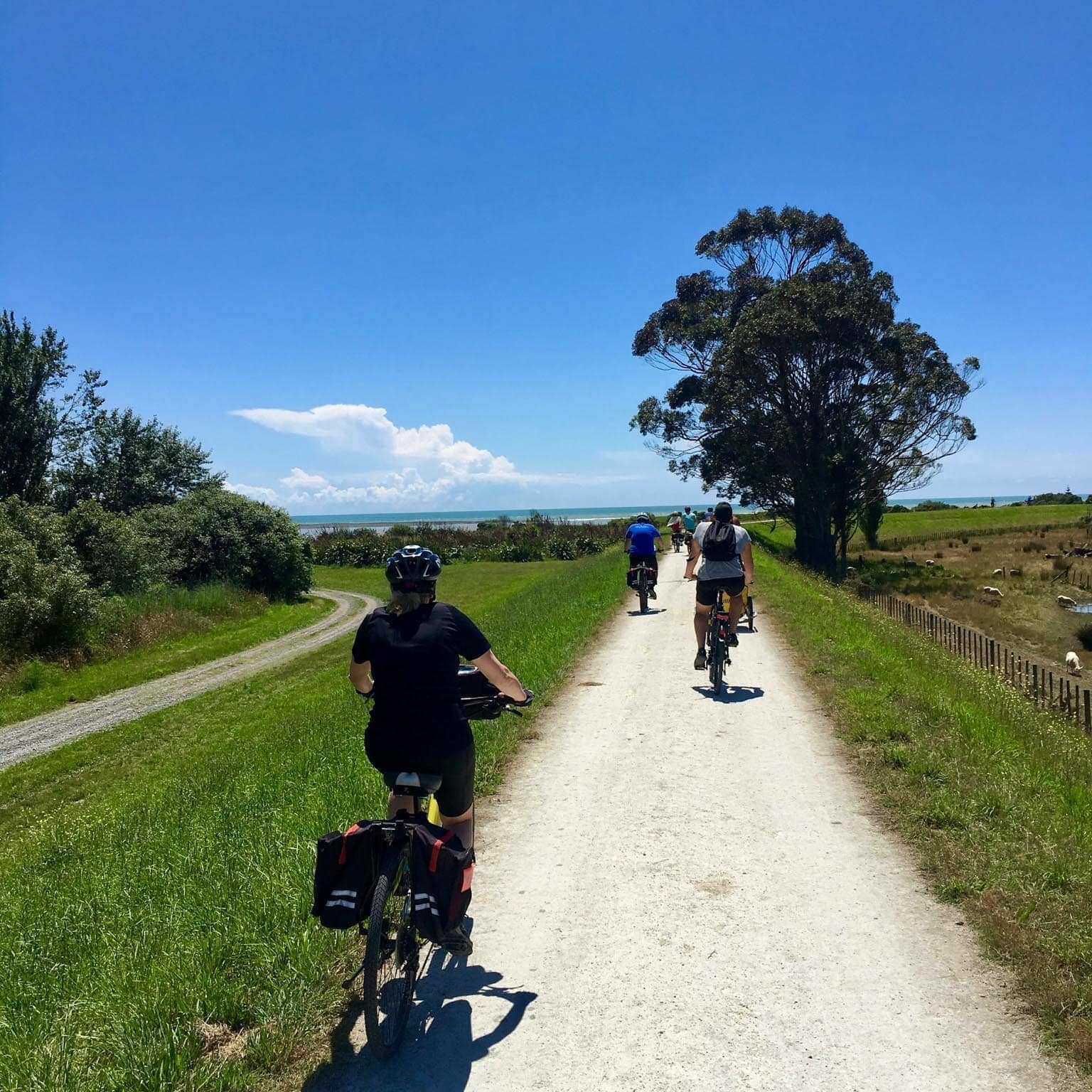 Cycling tour Hawkes Bay New Zealand