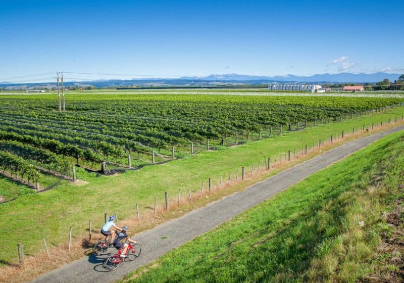 Cycling tour Hawkes Bay NZ