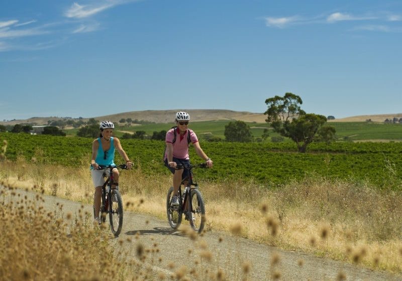 cycling tour barossa