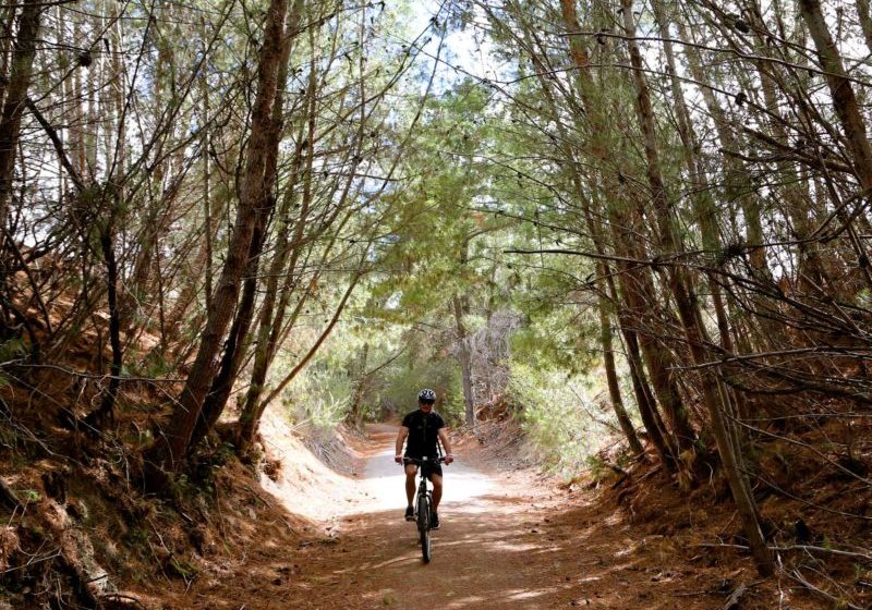 Riesling Rail Trail tour