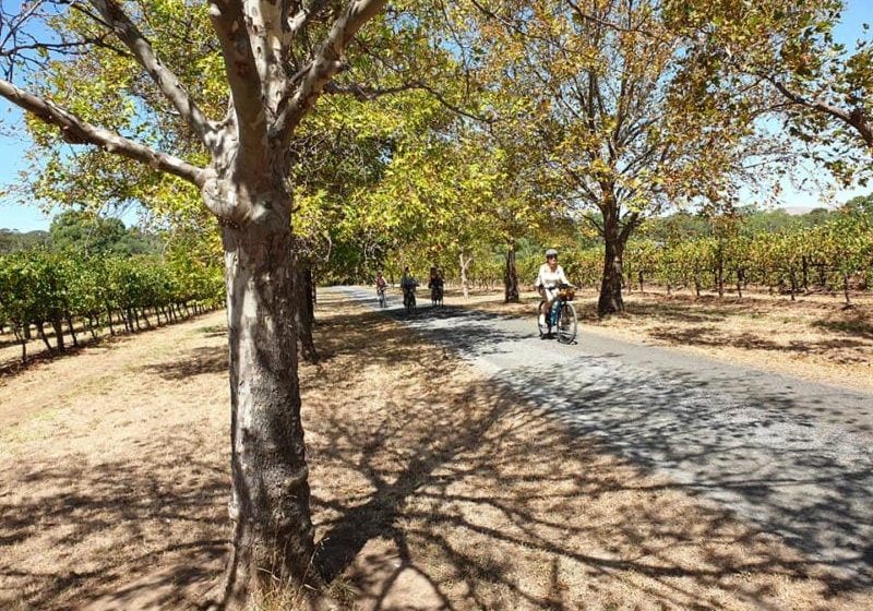 bike tour south australia