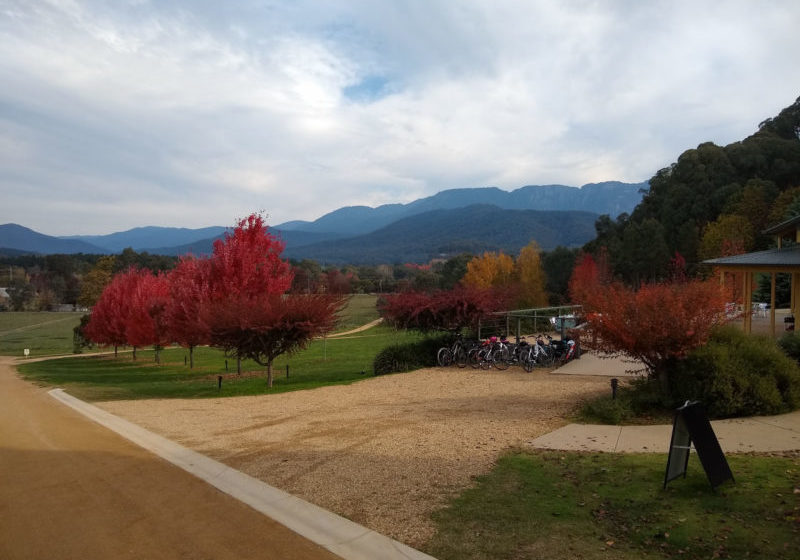 Cycling Victoria Bike Tours & Rail Trails Tour de Vines