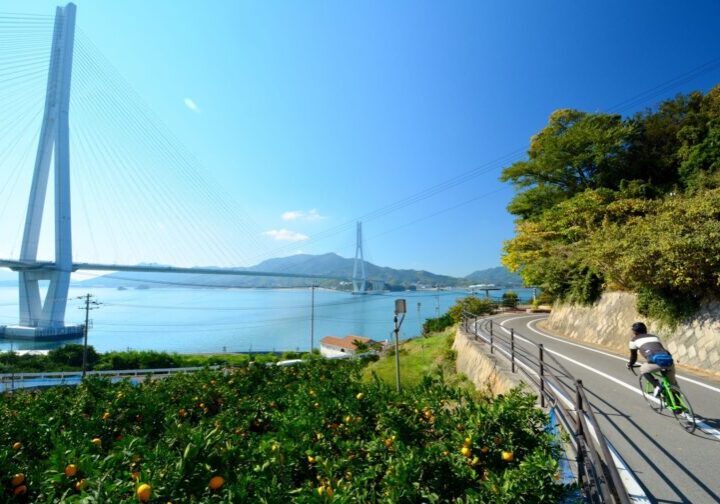 shimanami kaido cycling tour japan